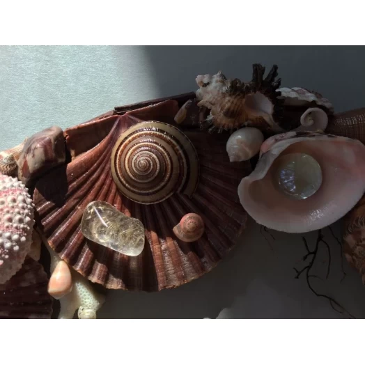 Sea Picture / Frame, Brown and Pink, Round # 1