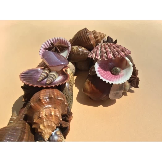 Sea Picture / Frame, Brown and Pink, Serpentine # 5