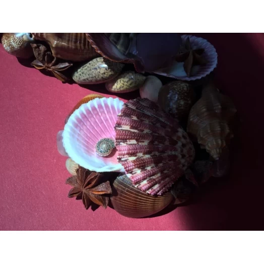 Sea Picture / Frame, Brown and Pink, Serpentine # 5