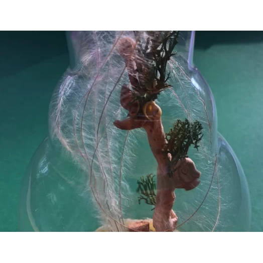 Sea Tree / Miniature in the Lamp # 6 Sea Tree / Miniature in the Lamp # 6