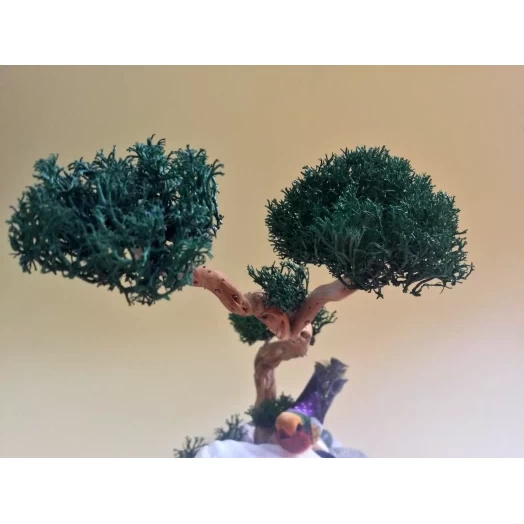 Sea Landscape / Tree Miniature on the Stones # 6