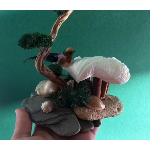 Sea Landscape / Tree Miniature on the Stones # 6