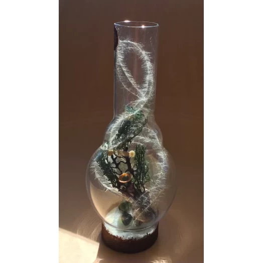 Sea Tree / Miniature in the Lamp # 11