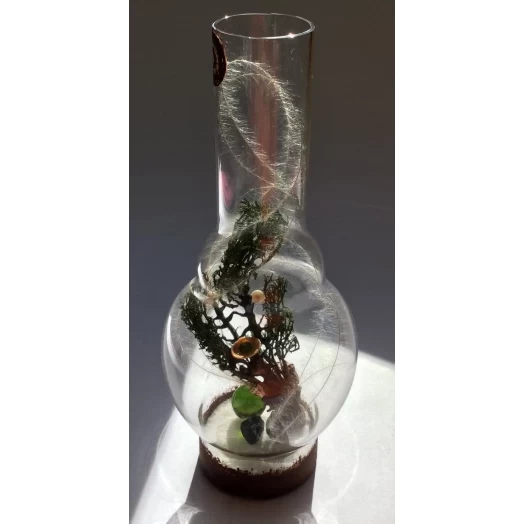 Sea Tree / Miniature in the Lamp # 11