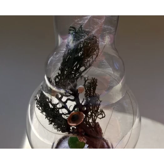 Sea Tree / Miniature in the Lamp # 11