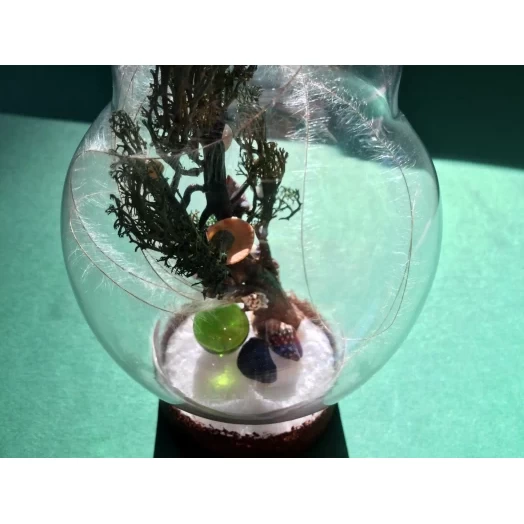 Sea Tree / Miniature in the Lamp # 11