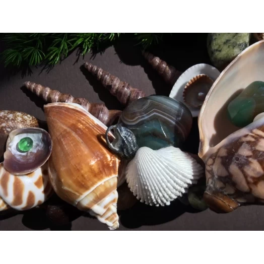 Sea Picture / Frame, Brown, Green and White, Rectangular # 20 Sea Picture / Frame, Brown, Green and White, Rectangular # 20