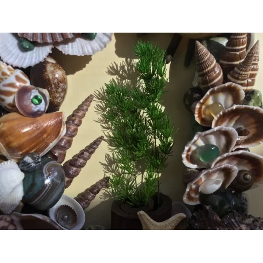 Sea Picture / Frame, Brown, Green and White, Rectangular # 20 Sea Picture / Frame, Brown, Green and White, Rectangular # 20