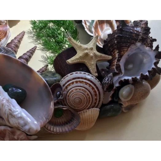 Sea Picture / Frame, Brown, Green and White, Rectangular # 20 Sea Picture / Frame, Brown, Green and White, Rectangular # 20
