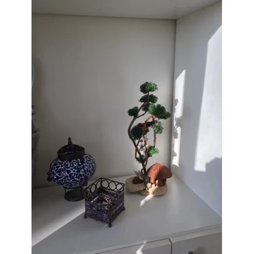 Sea Landscape / Tree Miniature on the Stones # 2