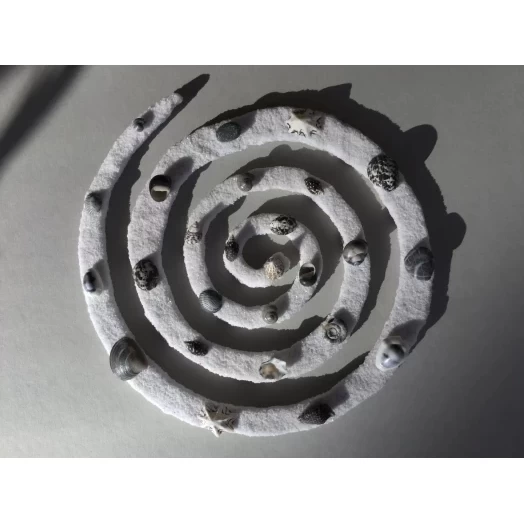 Sea Picture / Frame, Black and White Sandy Spiral / Helix # 27 Sea Picture / Frame, Black and White Sandy Spiral / Helix # 27