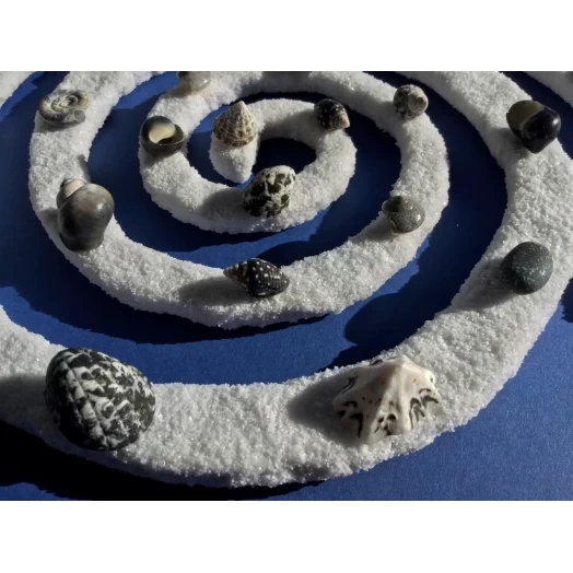 Sea Picture / Frame, Black and White Sandy Spiral / Helix # 27 Sea Picture / Frame, Black and White Sandy Spiral / Helix # 27
