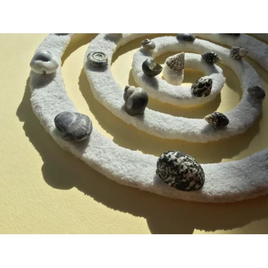 Sea Picture / Frame, Black and White Sandy Spiral / Helix # 27 Sea Picture / Frame, Black and White Sandy Spiral / Helix # 27