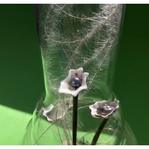 Sea Bouquet / Miniature in the Lamp # 12
