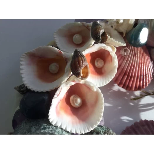 Морская картина / рамка голубая, бордовая, фиолетовая и розовая, овальная # 11 Морская картина / рамка голубая, бордовая, фиолетовая и розовая, овальная # 11