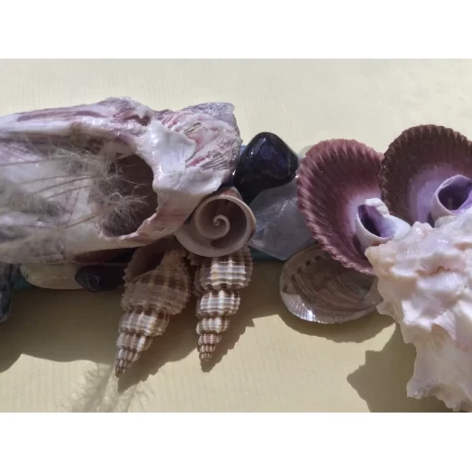 Sea Picture / Frame, Blue, Purple, Pink & Vinous Eye # 18 Sea Picture / Frame, Blue, Purple, Pink & Vinous Eye # 18
