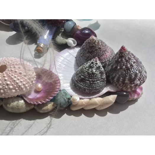 Sea Picture / Frame, Blue, Purple, Pink & Vinous Eye # 18 Sea Picture / Frame, Blue, Purple, Pink & Vinous Eye # 18