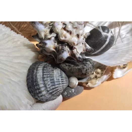 Sea Picture / Frame, White and Grey, Rectangular # 10 Sea Picture / Frame, White and Grey, Rectangular # 10