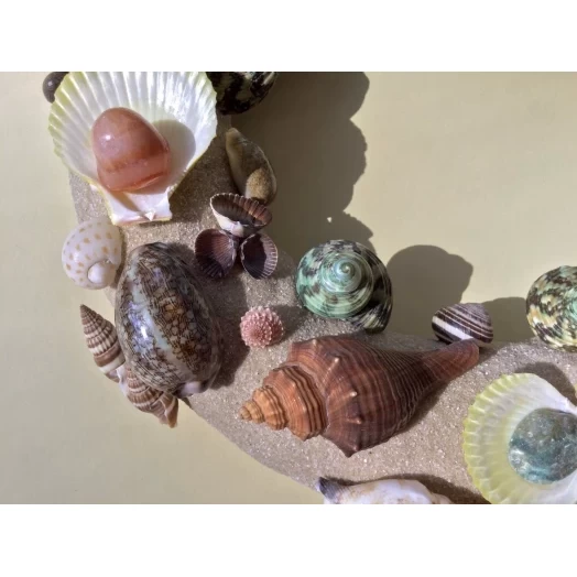 Sea Picture / Frame, Colorful, Round, Light Brown Sandy # 16