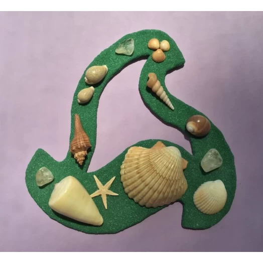 Sea Picture / Frame, Green & Yellow Sandy Spiral Star # 37 Sea Picture / Frame, Green & Yellow Sandy Spiral Star # 37