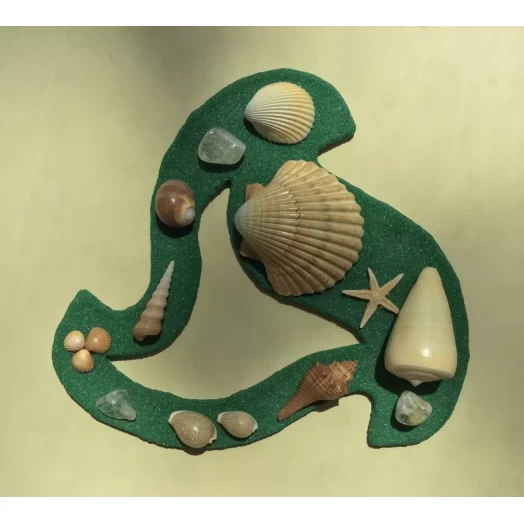Sea Picture / Frame, Green & Yellow Sandy Spiral Star # 37 Sea Picture / Frame, Green & Yellow Sandy Spiral Star # 37