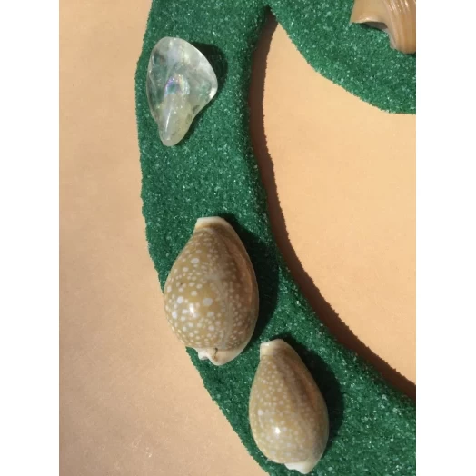Sea Picture / Frame, Green & Yellow Sandy Spiral Star # 37 Sea Picture / Frame, Green & Yellow Sandy Spiral Star # 37