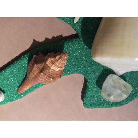 Sea Picture / Frame, Green & Yellow Sandy Spiral Star # 37 Sea Picture / Frame, Green & Yellow Sandy Spiral Star # 37