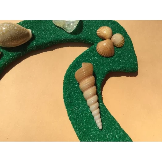 Sea Picture / Frame, Green & Yellow Sandy Spiral Star # 37 Sea Picture / Frame, Green & Yellow Sandy Spiral Star # 37