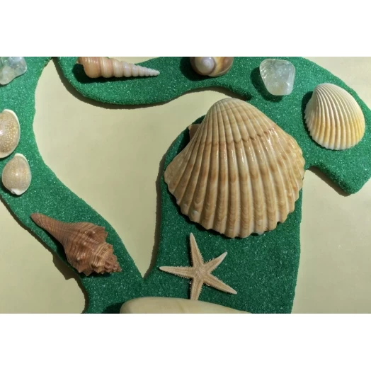 Sea Picture / Frame, Green & Yellow Sandy Spiral Star # 37 Sea Picture / Frame, Green & Yellow Sandy Spiral Star # 37