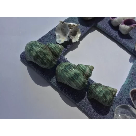 Sea Picture / Frame, Purple, Green, Sandy, Diamond # 39 Sea Picture / Frame, Purple, Green, Sandy, Diamond # 39
