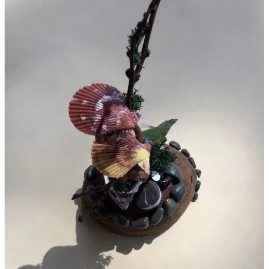 Sea Landscape / Tree Miniature on the Coconut # 9