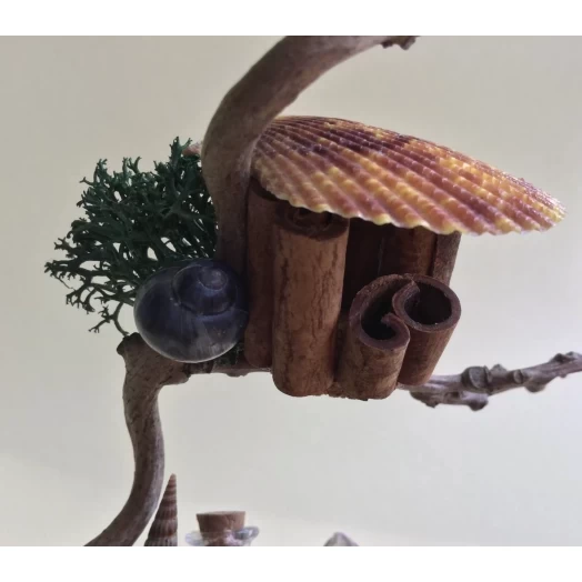 Sea Landscape / Tree Miniature on the Coconut # 9
