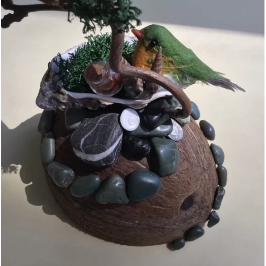 Sea Landscape / Tree Miniature on the Coconut # 9