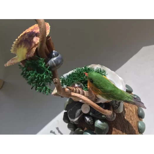 Sea Landscape / Tree Miniature on the Coconut # 9