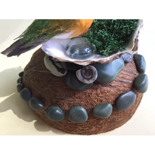 Sea Landscape / Tree Miniature on the Coconut # 9