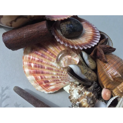 Sea Picture / Frame, Brown & Pink, Round # 10