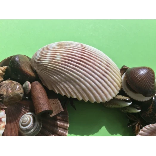 Sea Picture / Frame, Brown & Pink, Round # 10