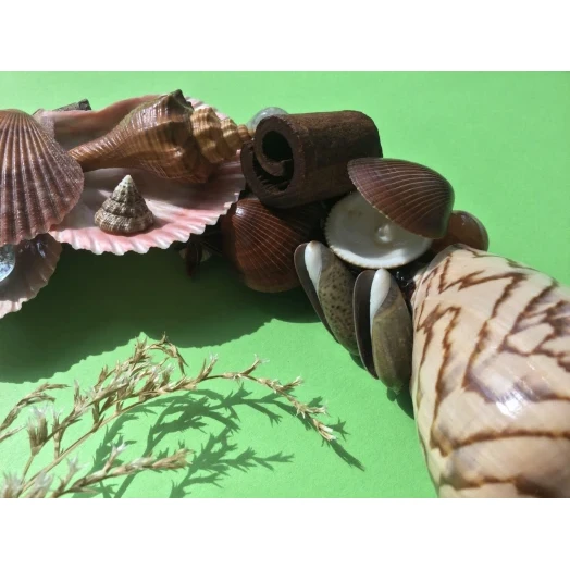 Sea Picture / Frame, Brown & Pink, Round # 10