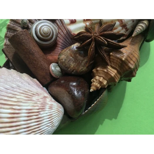 Sea Picture / Frame, Brown & Pink, Round # 10