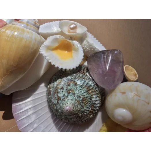 Sea Picture / Frame, Colorful, Round # 5