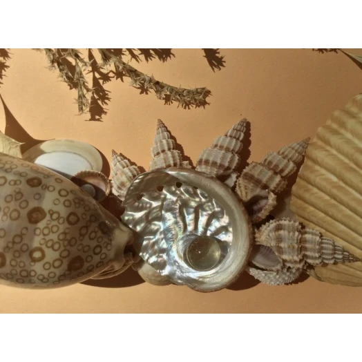 Sea Picture / Frame, Beige and Brown, Rectangular # 16 Sea Picture / Frame, Beige and Brown, Rectangular # 16