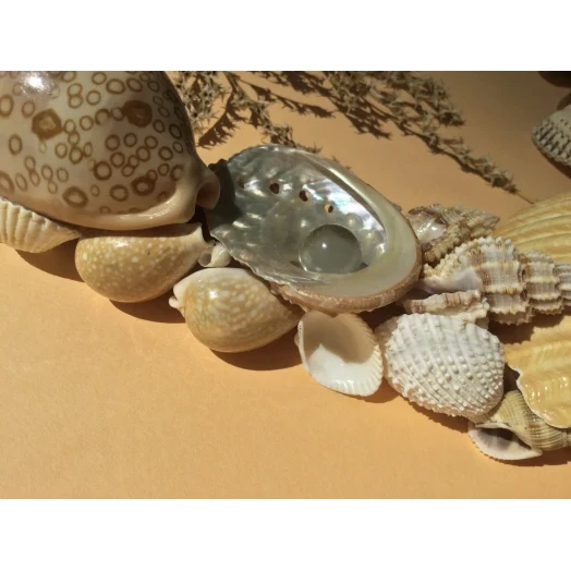 Sea Picture / Frame, Beige and Brown, Rectangular # 16 Sea Picture / Frame, Beige and Brown, Rectangular # 16