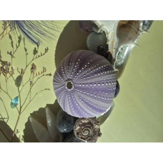 Sea Picture / Frame, Blue, White, Purple and Vinous, Rectangular # 12 Sea Picture / Frame, Blue, White, Purple and Vinous, Rectangular # 12