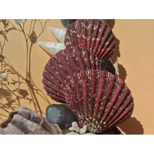 Sea Picture / Frame, Blue, White, Purple and Vinous, Rectangular # 12 Sea Picture / Frame, Blue, White, Purple and Vinous, Rectangular # 12