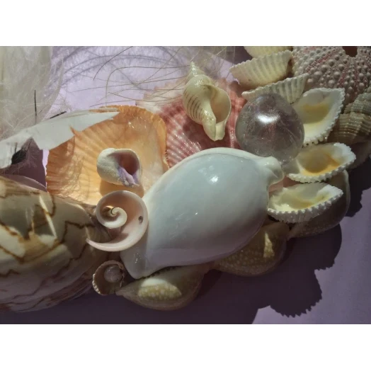 Sea Picture / Frame, White, Pink & Yellow, Oval # 6 Sea Picture / Frame, White, Pink & Yellow, Oval # 6