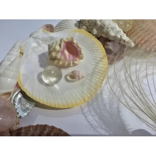 Sea Picture / Frame, White, Pink & Yellow, Oval # 6 Sea Picture / Frame, White, Pink & Yellow, Oval # 6