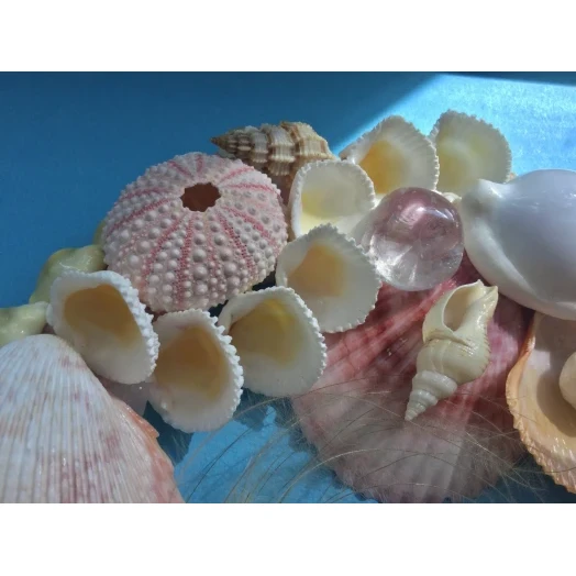 Sea Picture / Frame, White, Pink & Yellow, Oval # 6 Sea Picture / Frame, White, Pink & Yellow, Oval # 6
