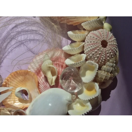 Sea Picture / Frame, White, Pink & Yellow, Oval # 6 Sea Picture / Frame, White, Pink & Yellow, Oval # 6