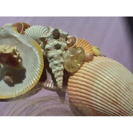 Sea Picture / Frame, White, Pink & Yellow, Oval # 6 Sea Picture / Frame, White, Pink & Yellow, Oval # 6