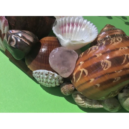 Sea Picture / Frame, Brown and Pink, Round # 1